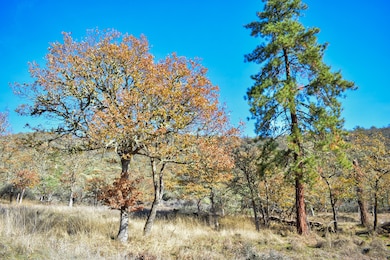 1379 Humbug Creek Rd, Jacksonville, OR 97530 - photo 5