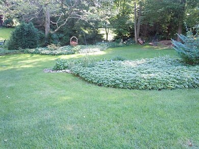 Yard/Garden.