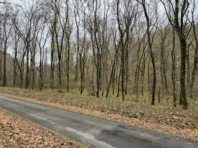 0 Pine Lick Rd unit RTC3043362, Whitleyville, TN 38588 - photo 7