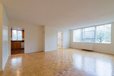Hammond Park Condominiums unit 104, Chestnut Hill, MA 02467 - photo 5