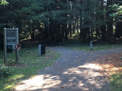 Lot 30 Foxhole Rd, Point Roberts, WA 98281 - photo 5