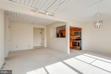 51 Skyhill Rd unit 303, Alexandria, VA 22314 - photo 7