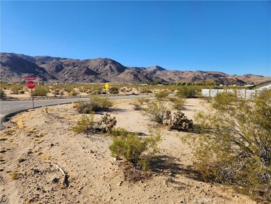 4 LOT Juniper Ave, Twentynine Palms, CA 92277 - photo 4