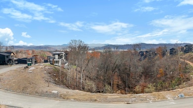 1354 Reedmont Way, Sevierville, TN 37876 - photo 4