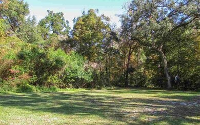 unlisted-address, Fort White, FL 32038 - photo 4