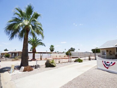 Two mature palms at front of property