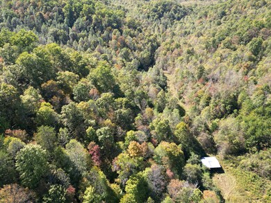 9999 Ohler Branch Rd, East Bernstadt, KY 40729 - photo 5