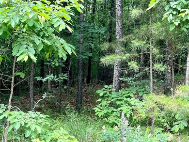 6.86 acres Greene 609 Rd, Paragould, AR 72450 - photo 4