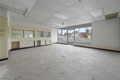 535 S Union Ave, Alliance, OH 44601 - photo 3