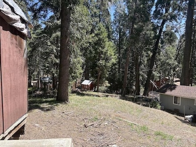 22021 Crestline Rd, Palomar Mountain, CA 92060 - photo 5