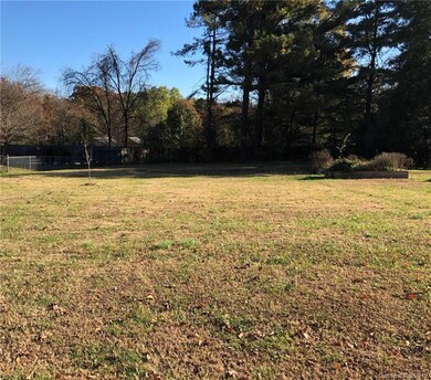 00 Chestnut Ln, Statesville, NC 28625 - photo 4