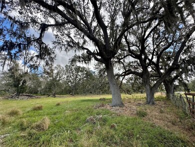 0 Polk Rd unit MFRA4632828, Wauchula, FL - photo 5