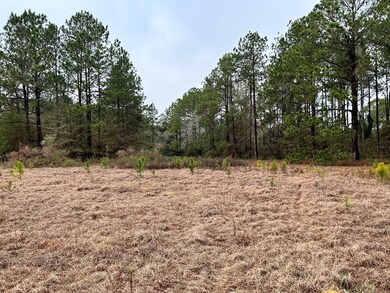 0 Turner Church Rd, Enigma, GA - photo 6