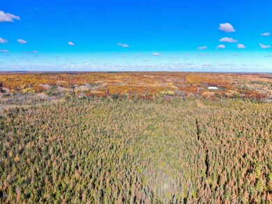 0 Hubbard Lake Rd unit 25571195, Hubbard Lake, MI 49747 - photo 2