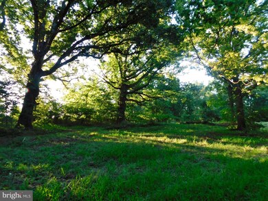 0 Lewisville Rd unit VACL111672, Berryville, VA 22611 - photo 6