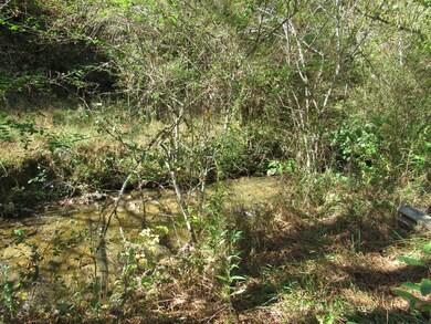 14322 Smith Creek Rd, Bristol, VA 24202 - photo 6