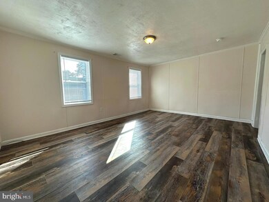 3920 Main St, Trappe, MD 21673 - photo 4