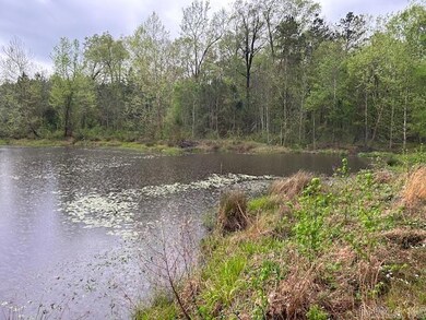 2285 Hempstead Road 16, Blevins, AR 71825 - photo 4