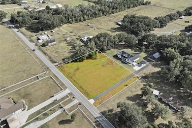 0 W Socrum Loop Rd unit MFRL4957695, Lakeland, FL 33810 - photo 3