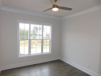 37 Autumn Gate St, Pittsboro, NC 27312 - photo 6