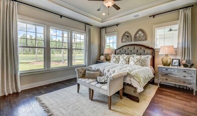 Owner's suite with tray ceiling