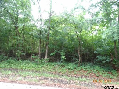 19707 County Road 234, Tyler, TX 75707 - photo 2