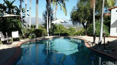 Tropical Saltwater Pebble Pool