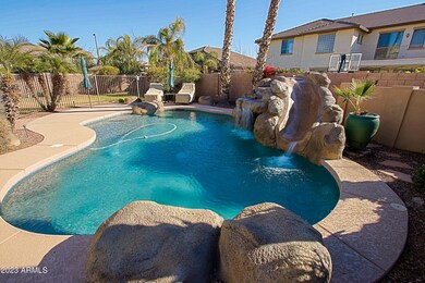 Backyard 7