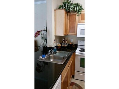 Kitchen. Rich Black Granite Counter Tops