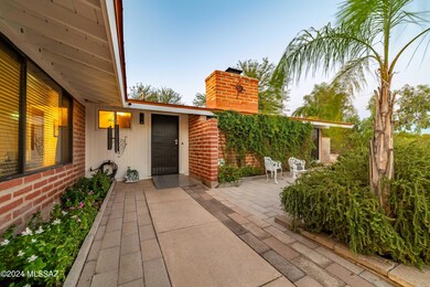 Orange Grove-41