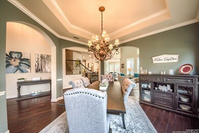 3847 Ox-Eye Daisy, San Antonio, TX 78261 - photo 7