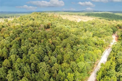 369 Frances Fir Rd, Broken Bow, OK 74728 - photo 2