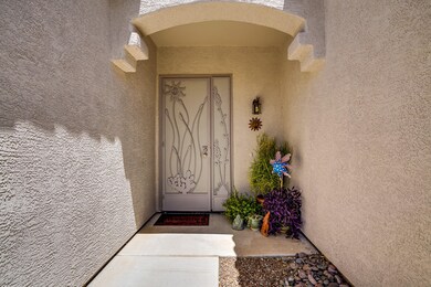 Custom Iron Door