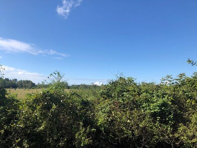 0 Gordon Hwy unit 437999, Harlem, GA 30814 - photo 2