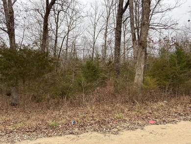 0 County Road 462 unit 21001480, Beaver Dam Township, MO 63901 - photo 2