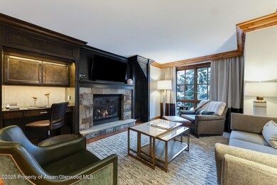 315 E Dean St unit B35-E3, Aspen, CO 81611 - photo 4