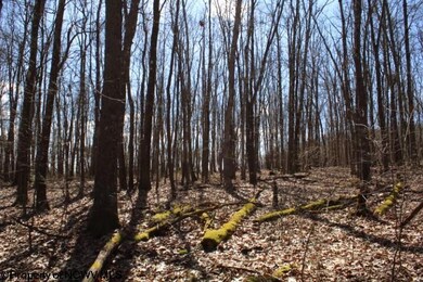 Lot 2 Sand Bank Heights Rd, Masontown, WV 26542 - photo 7