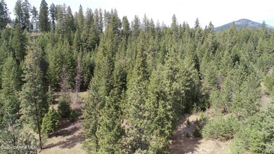 DJI_0006