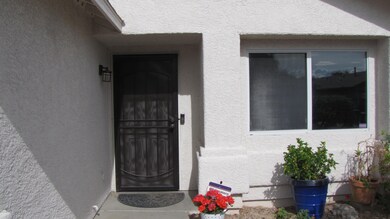 Security Door
