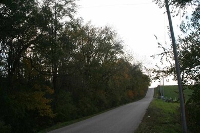 Lot 2 Mortensen Rd, Brooklyn, WI 53521 - photo 4