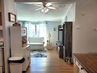 FIRST LOOK INTO THE HOME