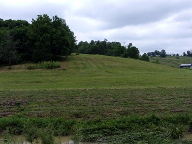 1880 Ashes Creek Rd, Bloomfield, KY 40008 - photo 4