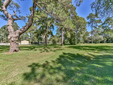 0 Cardinal unit 17017357, Hockley, TX 77447 - photo 7