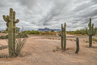 Superstition Mtn Views