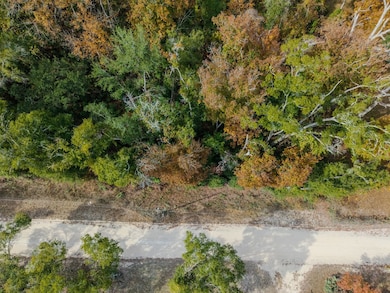 0 NE 765th St, Old Town, FL 32680 - photo 6