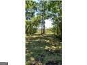 0 Briar Patch Lot 15 Place, Townsend, GA 31331 - photo 2