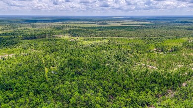 DJI_20240731121251_0058_D_HDR