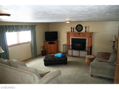 lower level family room with fireplace and walk ou