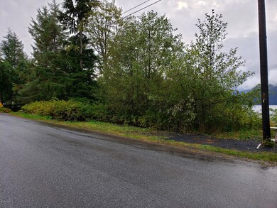 L14 Shoemaker Loop Rd, Wrangell, AK 99929 - photo 2