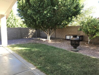 Back yard